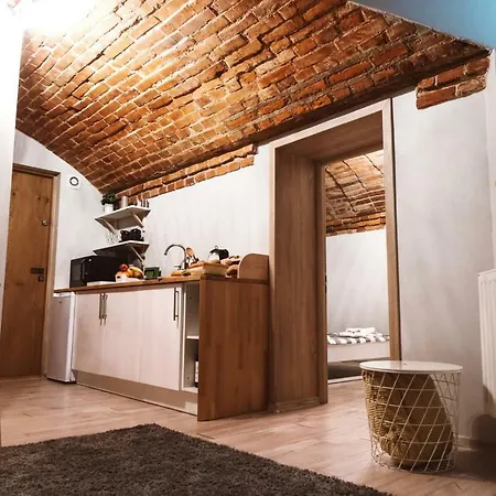 Brick In The Old Town By Apart Service 公寓